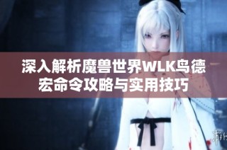 深入解析魔兽世界WLK鸟德宏命令攻略与实用技巧
