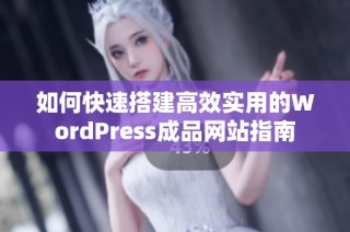 如何快速搭建高效实用的WordPress成品网站指南