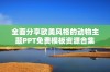 全面分享欧美风格的动物主题PPT免费模板资源合集