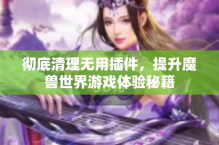 彻底清理无用插件，提升魔兽世界游戏体验秘籍
