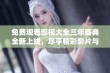 免费观看影视大全三年盛典全新上线，尽享精彩影片与美好时光