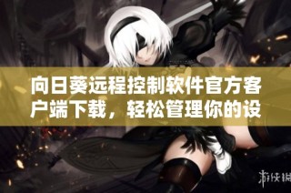 向日葵远程控制软件官方客户端下载，轻松管理你的设备与电脑