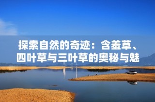 探索自然的奇迹：含羞草、四叶草与三叶草的奥秘与魅力