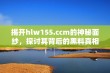 揭开hlw155.ccm的神秘面纱，探讨其背后的黑料真相