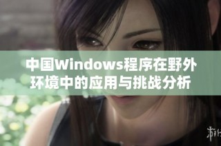 中国Windows程序在野外环境中的应用与挑战分析