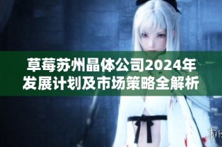 草莓苏州晶体公司2024年发展计划及市场策略全解析