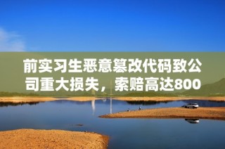 前实习生恶意篡改代码致公司重大损失，索赔高达800万