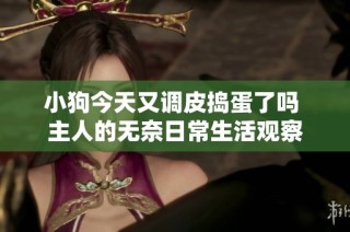 小狗今天又调皮捣蛋了吗 主人的无奈日常生活观察