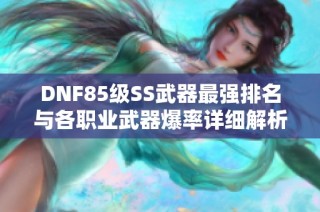 DNF85级SS武器最强排名与各职业武器爆率详细解析