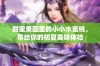 甜蜜果园里的小小水蜜桃，带给你的初夏美味体验