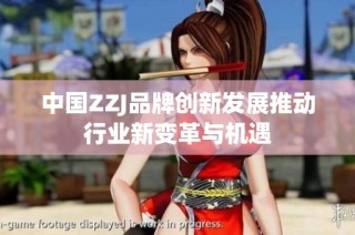 中国ZZJ品牌创新发展推动行业新变革与机遇