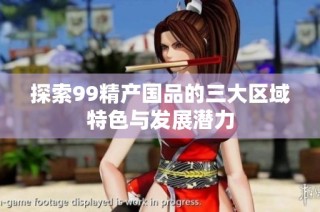 探索99精产国品的三大区域特色与发展潜力
