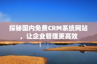 探秘国内免费CRM系统网站，让企业管理更高效