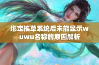 绑定挨草系统后未能显示wuwu名称的原因解析