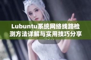 Lubuntu系统网络线路检测方法详解与实用技巧分享