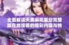 全面解读天美麻花星空完整版在线观看的精彩内容与特色解析