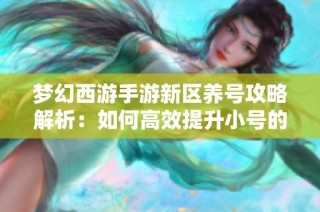 梦幻西游手游新区养号攻略解析：如何高效提升小号的难度与策略