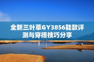 全新三叶草GY3856鞋款评测与穿搭技巧分享