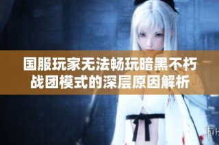 国服玩家无法畅玩暗黑不朽战团模式的深层原因解析