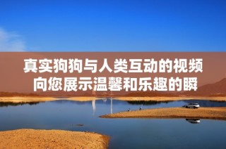 真实狗狗与人类互动的视频 向您展示温馨和乐趣的瞬间