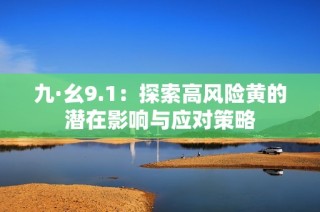 九·幺9.1：探索高风险黄的潜在影响与应对策略