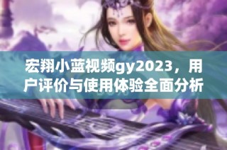 宏翔小蓝视频gy2023，用户评价与使用体验全面分析