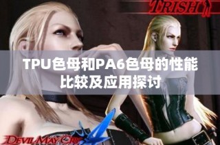 TPU色母和PA6色母的性能比较及应用探讨