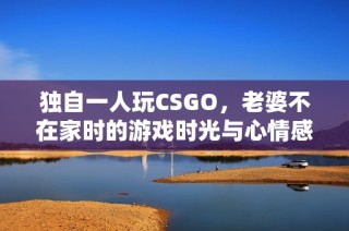 独自一人玩CSGO，老婆不在家时的游戏时光与心情感悟