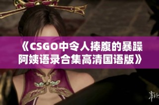 《CSGO中令人捧腹的暴躁阿姨语录合集高清国语版》