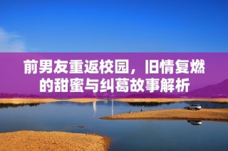 前男友重返校园，旧情复燃的甜蜜与纠葛故事解析