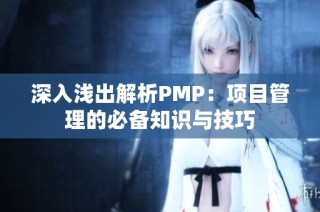 深入浅出解析PMP：项目管理的必备知识与技巧