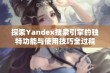 探索Yandex搜索引擎的独特功能与使用技巧全过程