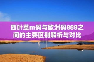 四叶草m码与欧洲码888之间的主要区别解析与对比