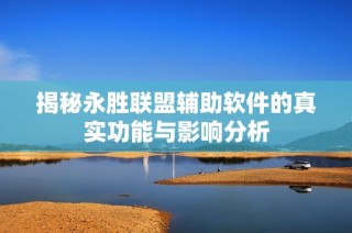 揭秘永胜联盟辅助软件的真实功能与影响分析