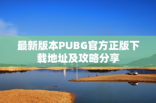 最新版本PUBG官方正版下载地址及攻略分享