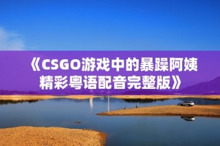 《CSGO游戏中的暴躁阿姨精彩粤语配音完整版》