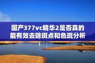 国产377vc精华2是否真的能有效去除斑点和色斑分析