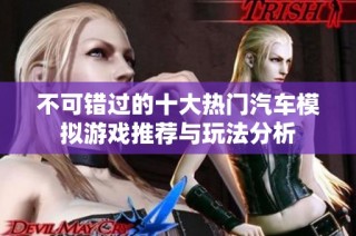 不可错过的十大热门汽车模拟游戏推荐与玩法分析
