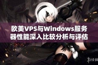 欧美VPS与Windows服务器性能深入比较分析与评估