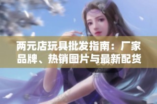两元店玩具批发指南：厂家品牌、热销图片与最新配货推荐