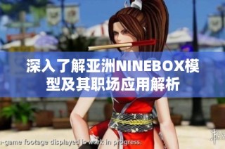 深入了解亚洲NINEBOX模型及其职场应用解析