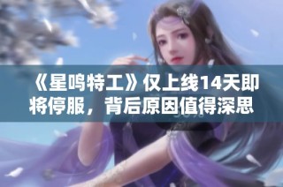 《星鸣特工》仅上线14天即将停服，背后原因值得深思