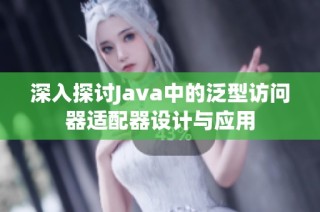 深入探讨Java中的泛型访问器适配器设计与应用