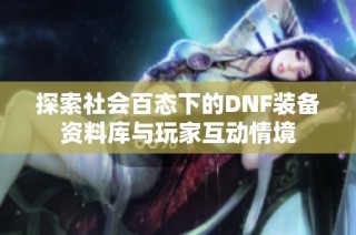 探索社会百态下的DNF装备资料库与玩家互动情境