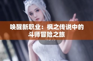 唤醒新职业：枫之传说中的斗师冒险之旅