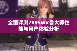 全面评测7995wx鲁大师性能与用户体验分析
