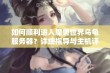 如何顺利进入魔兽世界乌龟服务器？详细指导与主机评测攻略分享