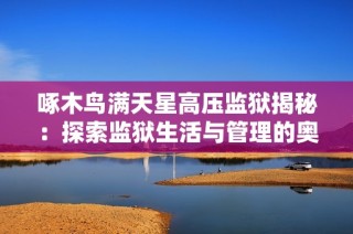 啄木鸟满天星高压监狱揭秘：探索监狱生活与管理的奥秘