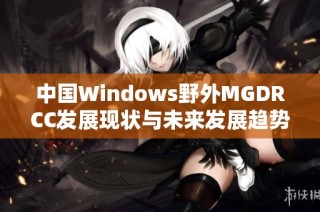 中国Windows野外MGDRCC发展现状与未来发展趋势探讨