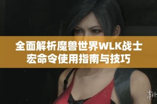 全面解析魔兽世界WLK战士宏命令使用指南与技巧